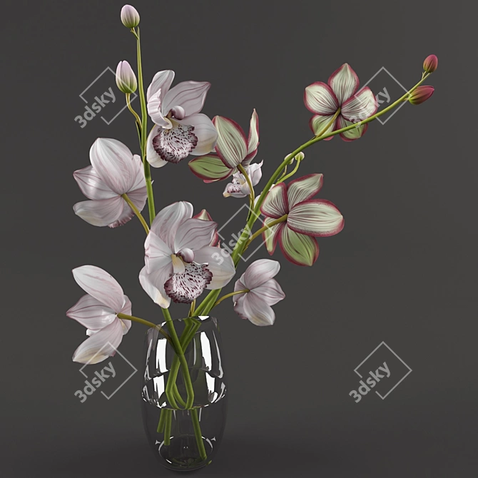 Blooming Beauty: Exquisite Orchids 3D model image 2