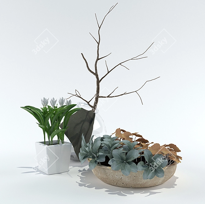 Variety of Plants to Choose 3D model image 1