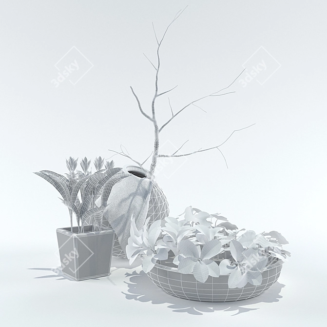 Variety of Plants to Choose 3D model image 2