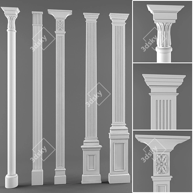 Versatile Mapped Pilasters: Classic Style & Wood-like Finish 3D model image 1