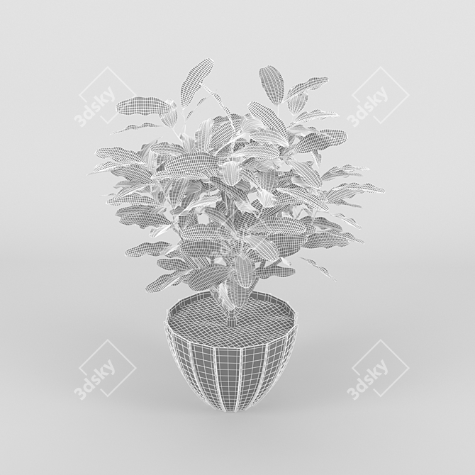 Title: Java Jungle Coffee Tree 3D model image 2