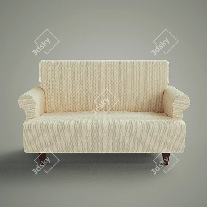 Modern and Compact 2-Seater Sofa 3D model image 1