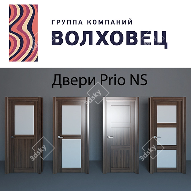 Prio NS Volhovets Doors: 9 Models, 4 Colors 3D model image 2