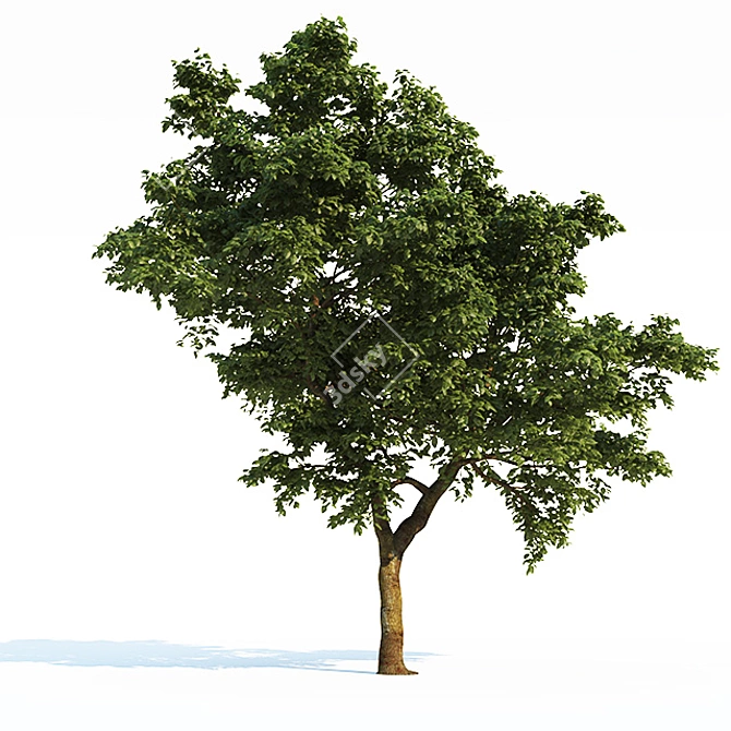 Large Area-Ready Tree Collection 3D model image 1