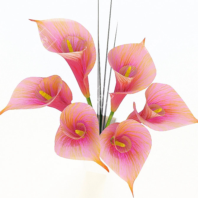 Elegant Straus Flowers 3D model image 2