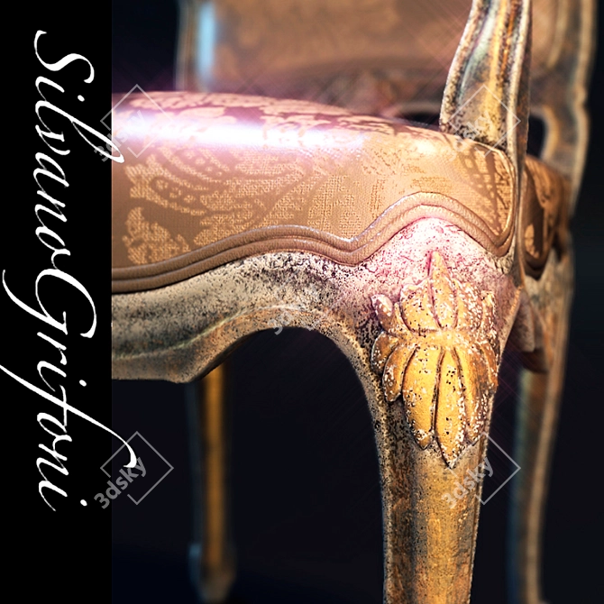 Luxury Silvano Grifoni Chair 3D model image 2