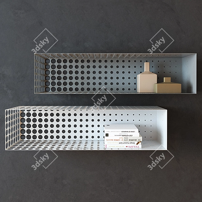 Metal Mist Shelves 3D model image 3