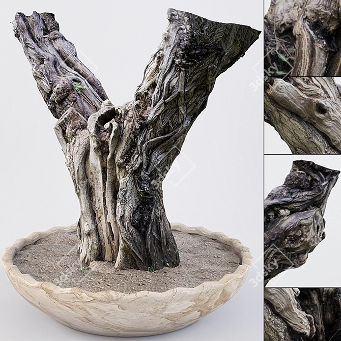 Vintage Oak Tree Sculpture 3D model image 1