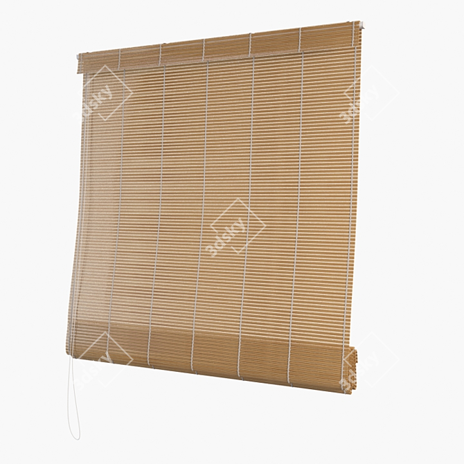 Mid Poly Wooden Roll Blind 3D model image 1