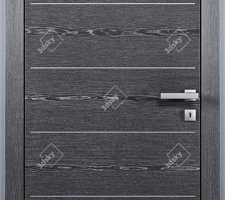 Barausse Doors: Stylish and Durable 3D model image 3