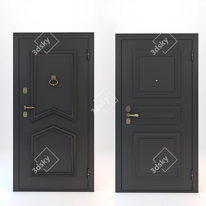 Decorative Overlay Entrance Doors 3D model image 1