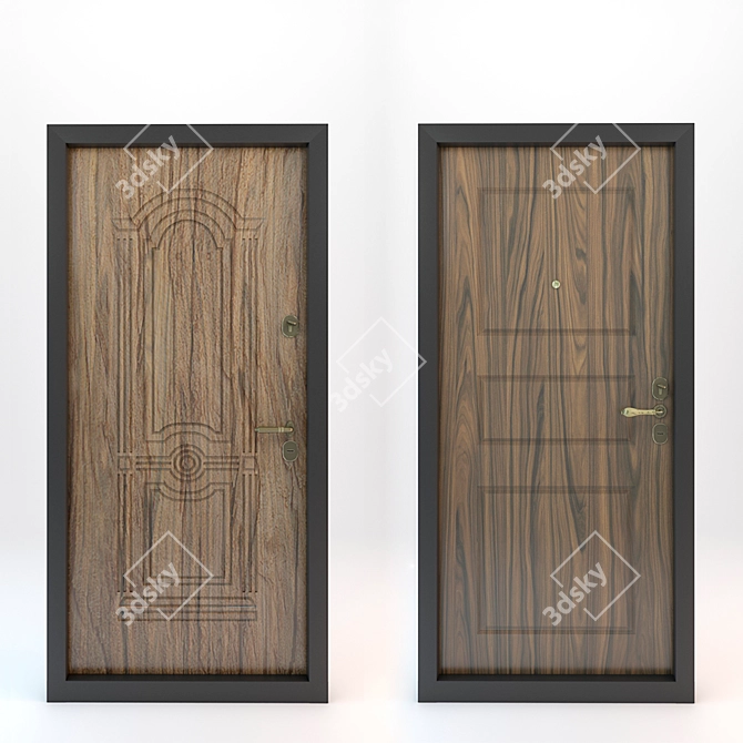 Decorative Overlay Entrance Doors 3D model image 2