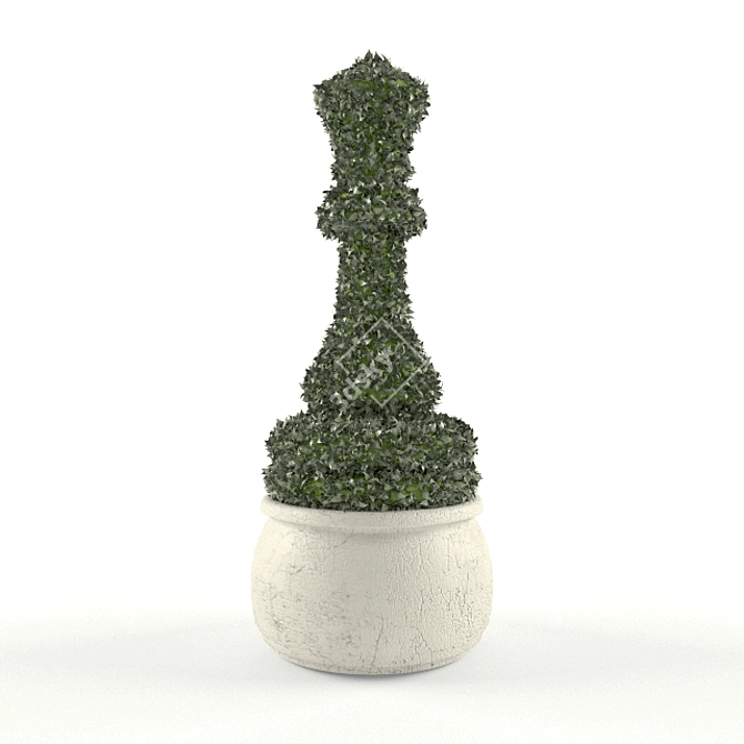 Chessboard Topiary 3D model image 1