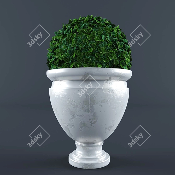 Miniature Bush in a Pot 3D model image 1