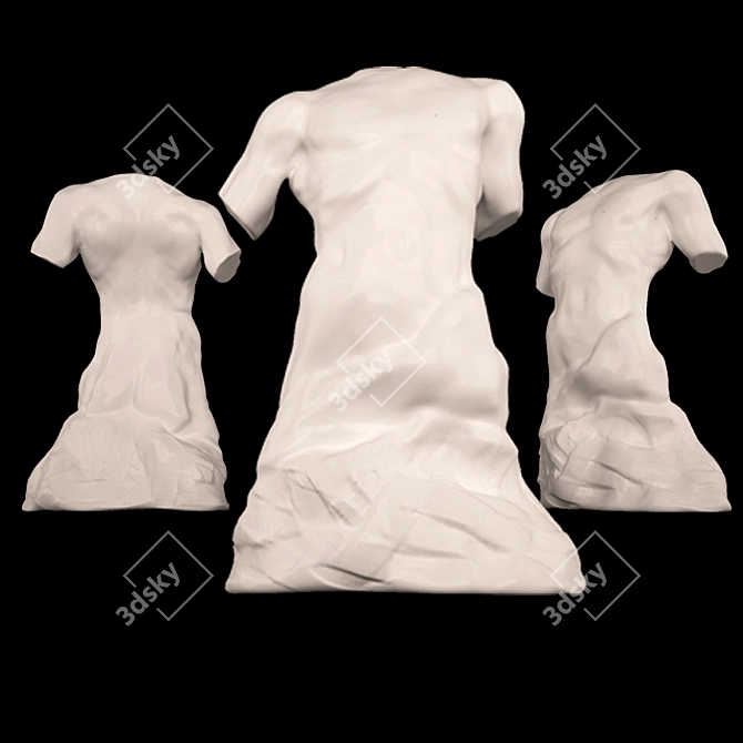 Sculpted Male Torso 3D model image 1