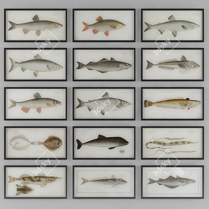 Vintage Fish Photography: 3D Max 2014 + Vray 3.0 3D model image 1