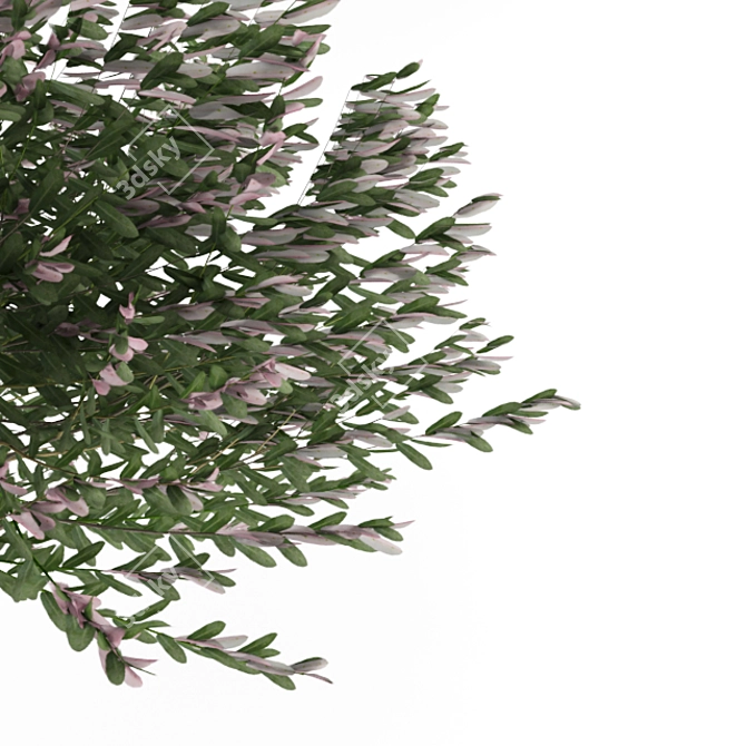 Compact Colorful Willow Bush 3D model image 2