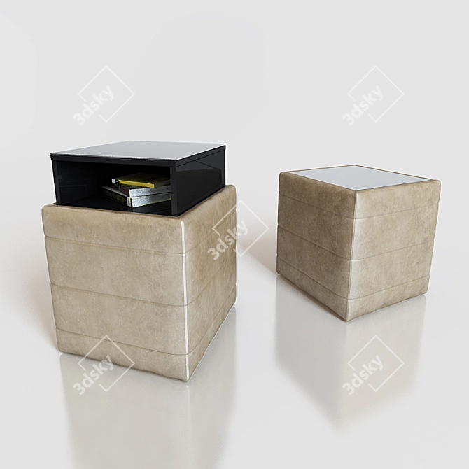 Modern Driadi Ottoman with Hidden Shelf 3D model image 1