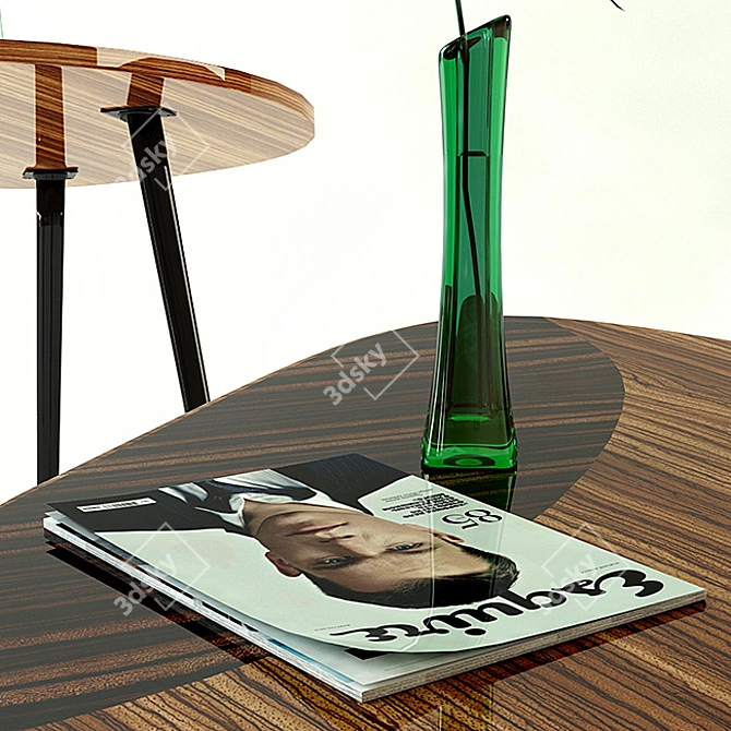 Lacquered Rosewood Coffee Table 3D model image 3