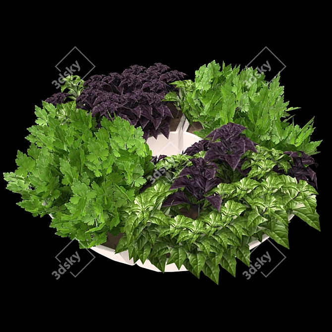 Herb Trio Deco 3D model image 1