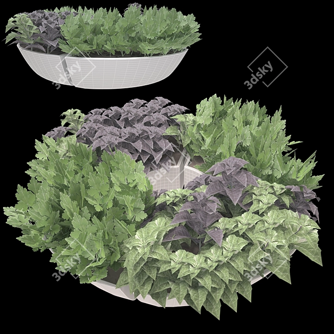 Herb Trio Deco 3D model image 2