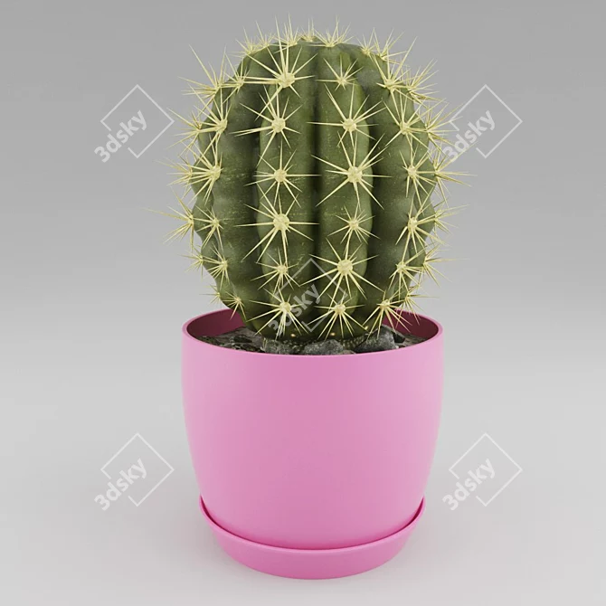 Stylish Cactus Pot Decoration 3D model image 1