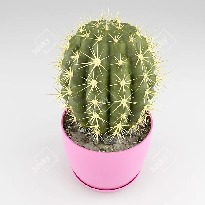 Stylish Cactus Pot Decoration 3D model image 2