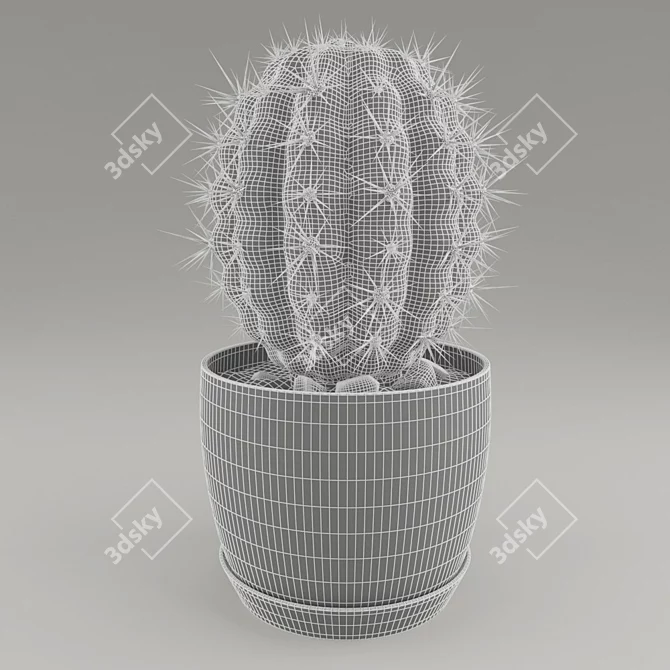 Stylish Cactus Pot Decoration 3D model image 3