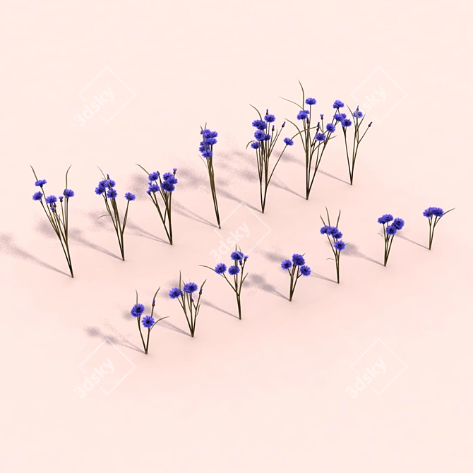 Cornflower Bouquet Set - Exquisite Outdoor Scene Decoration 3D model image 1