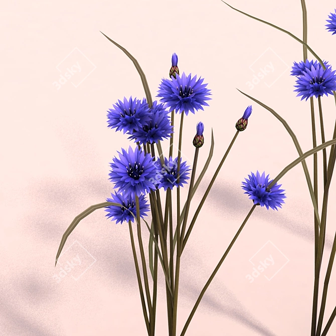 Cornflower Bouquet Set - Exquisite Outdoor Scene Decoration 3D model image 2