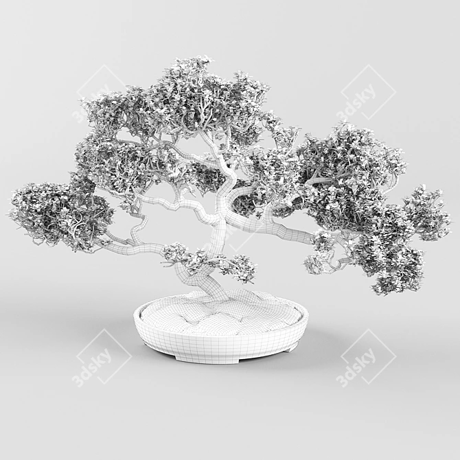 Elegant Vray Bonsai Tree 3D model image 2