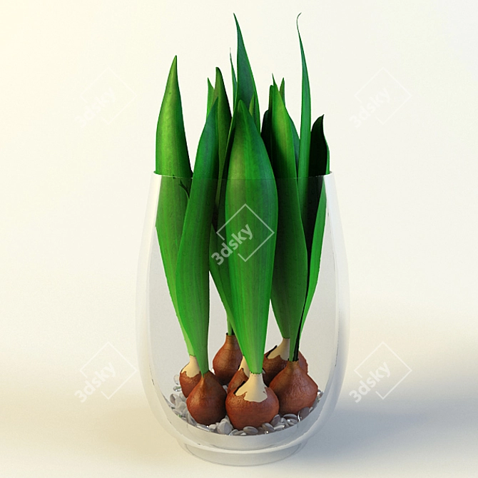 Elegant Tulip Bulbs Collection 3D model image 2