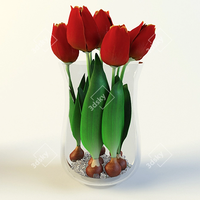 Elegant Tulip Bulbs Collection 3D model image 3