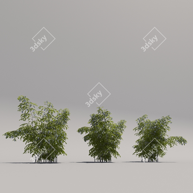 Blooming Bush Trio 3D model image 2