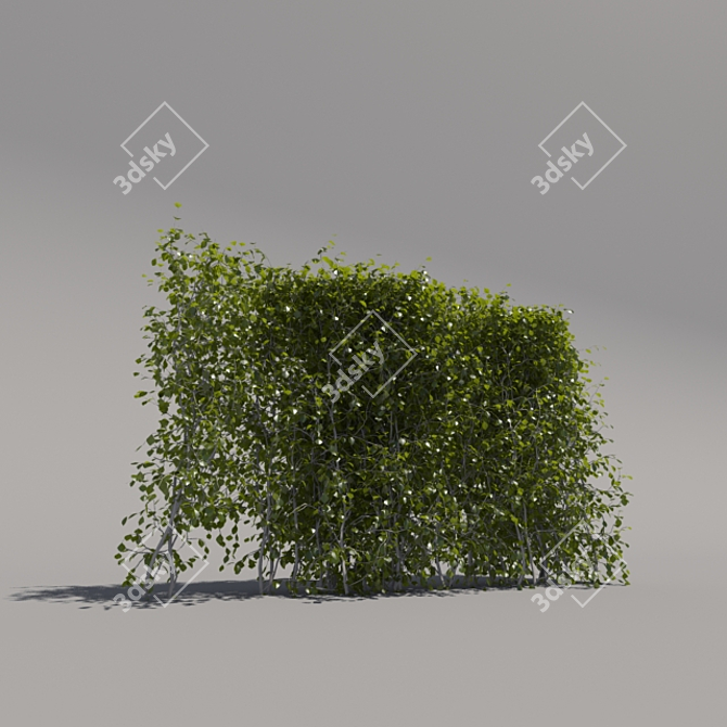 Compact Low Bush - 2nd Iteration 3D model image 2