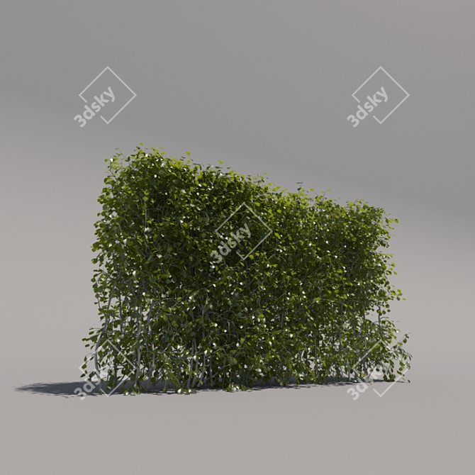 Low Bush Trimmer - 3rd Iteration 3D model image 2