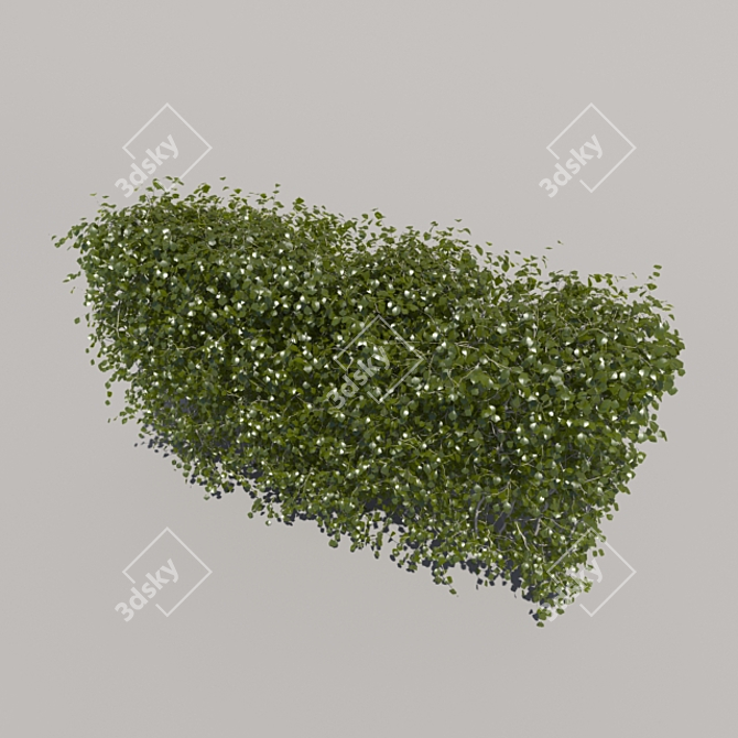 Low Bush Trimmer - 3rd Iteration 3D model image 3