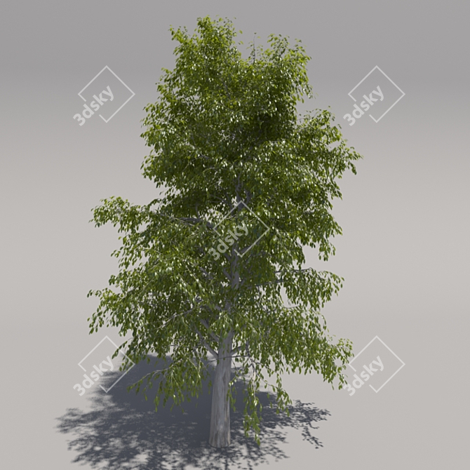 Giant Geometric Tree 3D model image 1