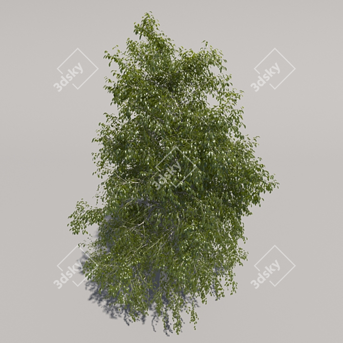 Giant Geometric Tree 3D model image 3