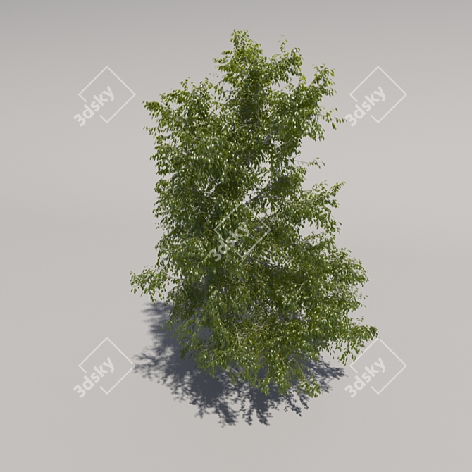 Giant Tree: Geometric Foliage 3D model image 3