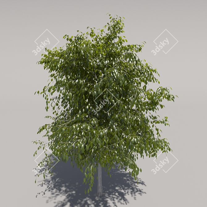 Title: Grand Geometric Foliage Tree 3D model image 1