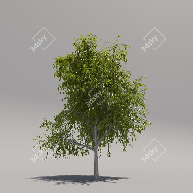 Title: Grand Geometric Foliage Tree 3D model image 2