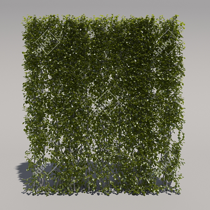 High Trimmed Bush 3D model image 1