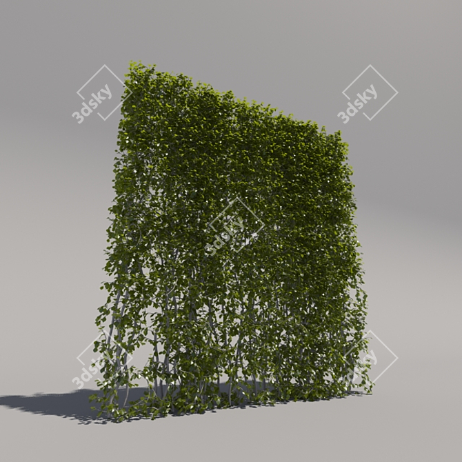 High Trimmed Bush 3D model image 2