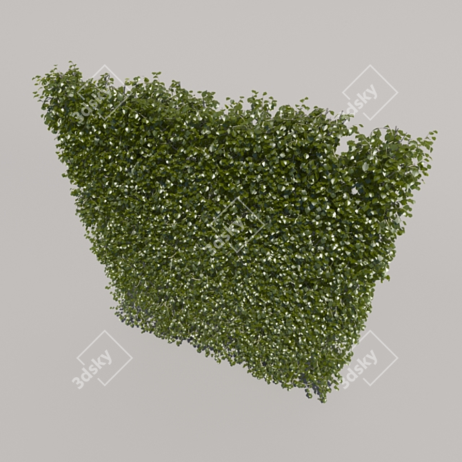 High Trimmed Bush 3D model image 3