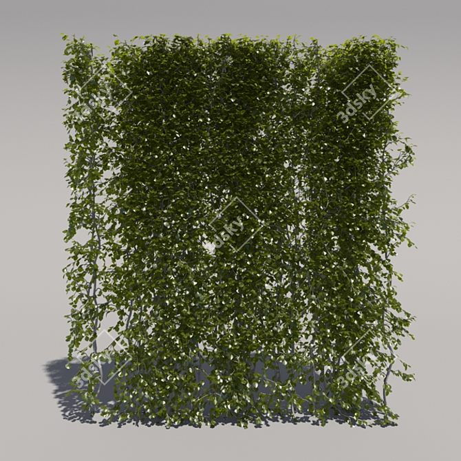 Trimmed High Bush - 2nd Edition 3D model image 1