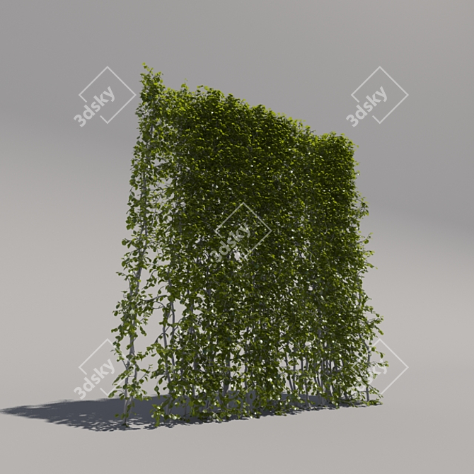 Trimmed High Bush - 2nd Edition 3D model image 2