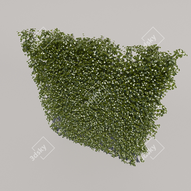 Trimmed High Bush - 2nd Edition 3D model image 3