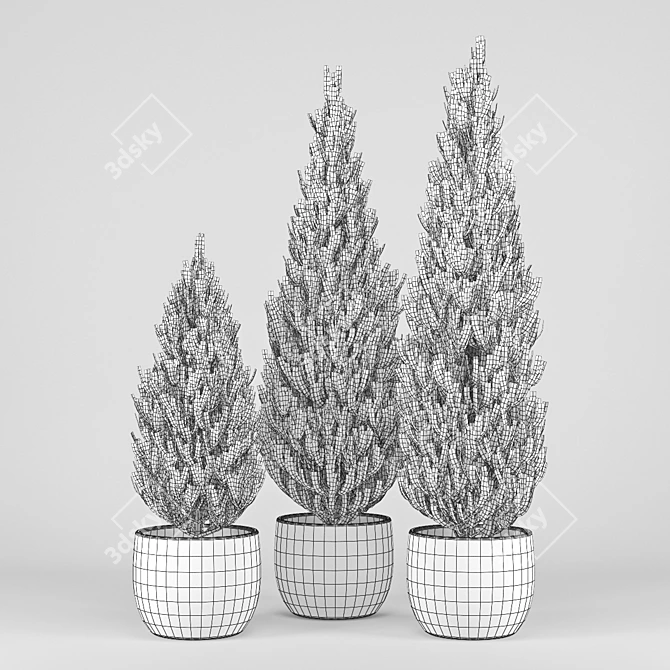 Realistic Thuja Tree 3D Model 3D model image 2