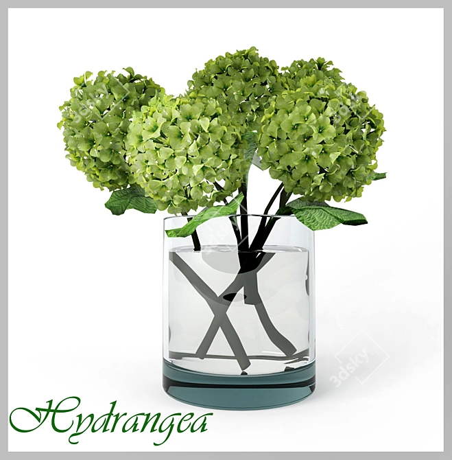 Elegant Hydrangea Bouquet 3D model image 1